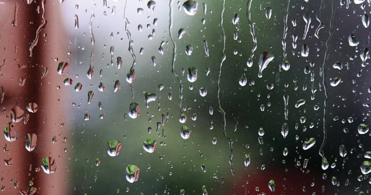 Καλλιάνος: Χριστούγεννα με καλοκαιρία – Ερχεται κρύο την Πρωτοχρονιά (βίντεο)